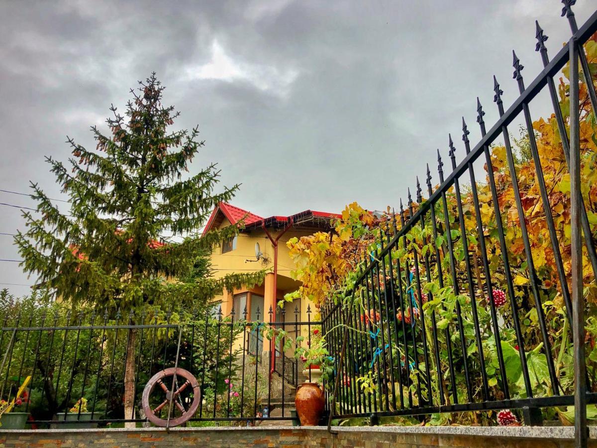 Pensiunea Portas Resort Slănic Εξωτερικό φωτογραφία