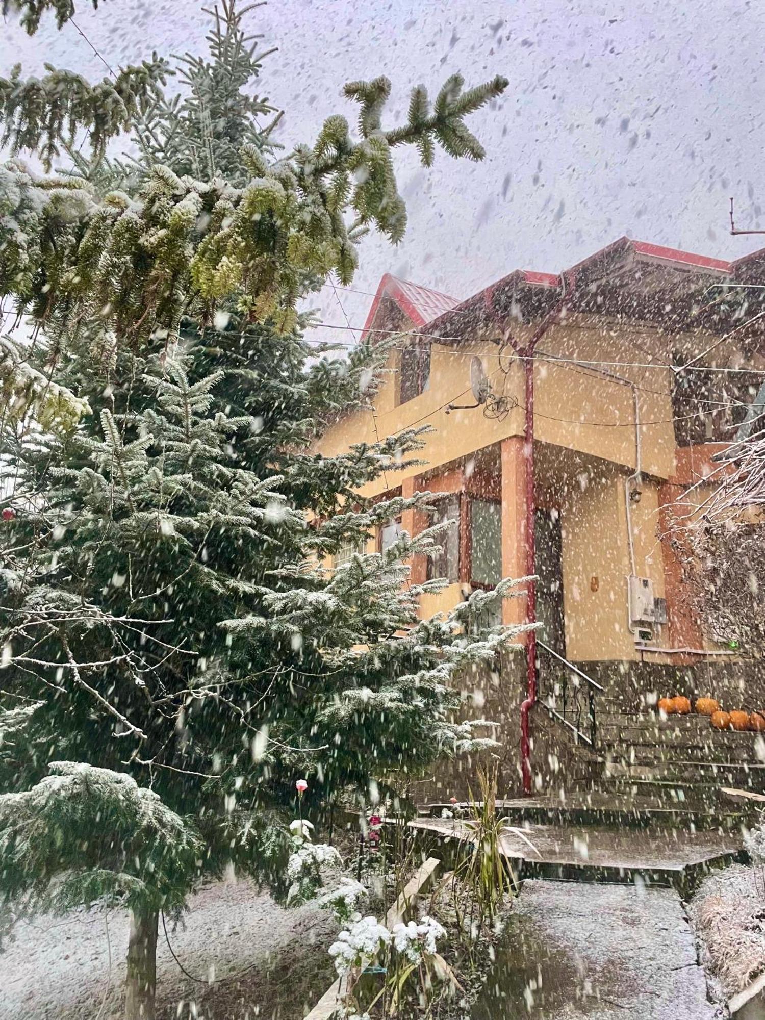 Pensiunea Portas Resort Slănic Εξωτερικό φωτογραφία